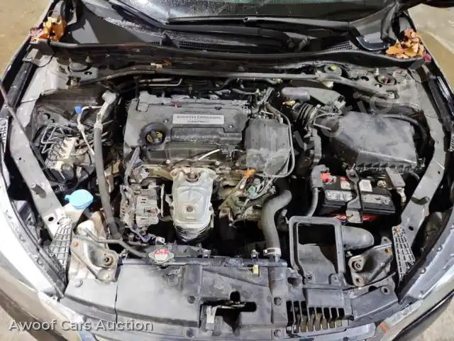 2014 Honda Accord 1HGCR2F83EA135830 — Copart auction photo 11