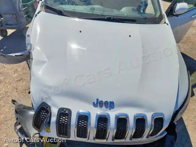 2017 Jeep Cherokee 1C4PJMDS5HW598609 — Copart auction photo 12