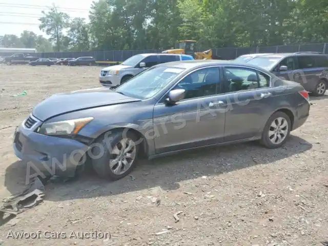 2010 Honda Accord 1HGCP3F85AA019826 — Copart auction photo 1