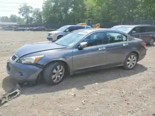 2010 Honda Accord