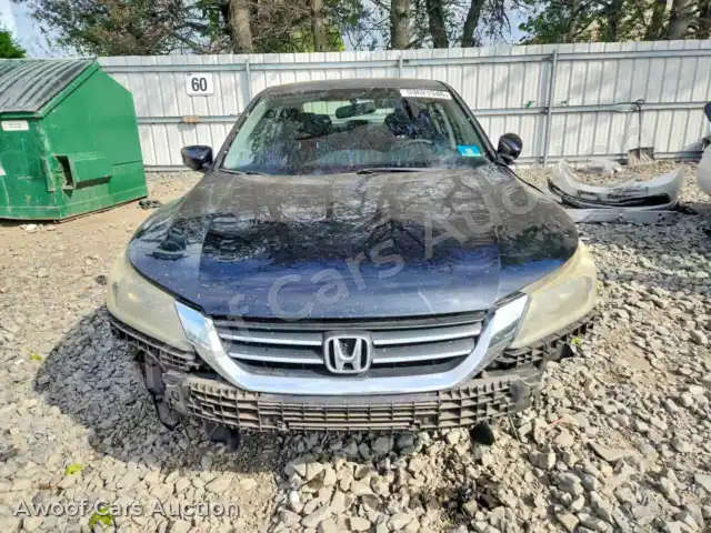 2014 Honda Accord 1HGCR2F50EA177006 — Copart auction photo 5