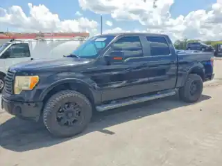 2010 Ford F150