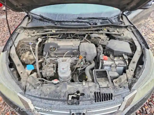 2013 Honda Accord 1HGCR2F86DA117997 — Copart auction photo 11
