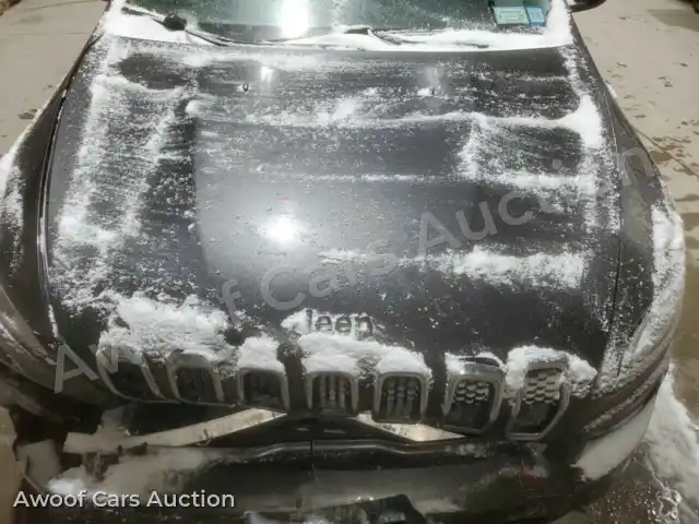 2016 Jeep Grand Cherokee 1C4PJMCB7GW375617 — Copart auction photo 12
