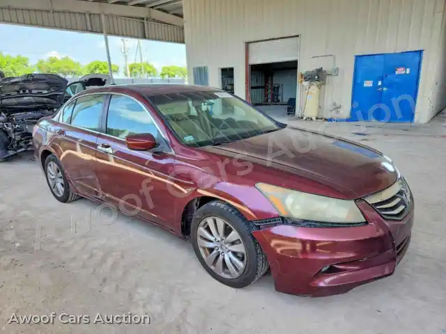 2011 Honda Accord 1HGCP3F8XBA021797 — Copart auction photo 4