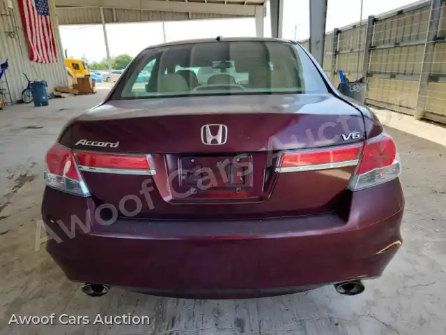 2011 Honda Accord 1HGCP3F8XBA021797 — Copart auction photo 6