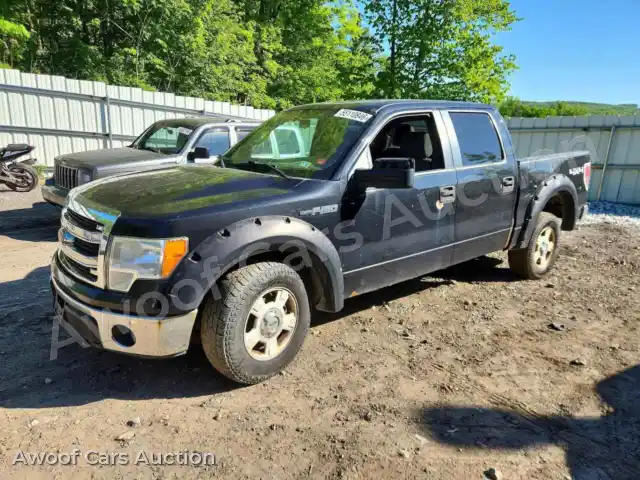 2013 Ford F150 1FTFW1EF1DKD10180 — Copart auction photo 1