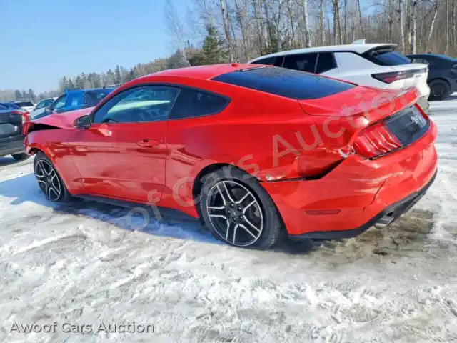 2019 Ford Mustang 1FA6P8TH0K5103100 — Copart auction photo 2