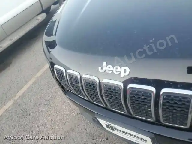 2019 Jeep Grand Cherokee 1C4PJLCB5KD203696 — Manheim auction photo 31