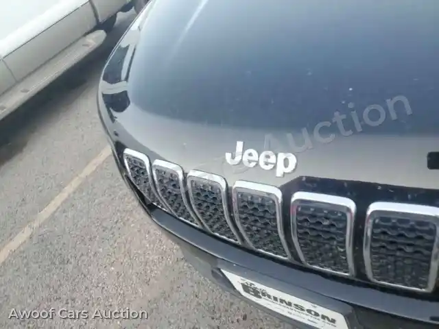 2019 Jeep Grand Cherokee 1C4PJLCB5KD203696 — Manheim auction photo 32