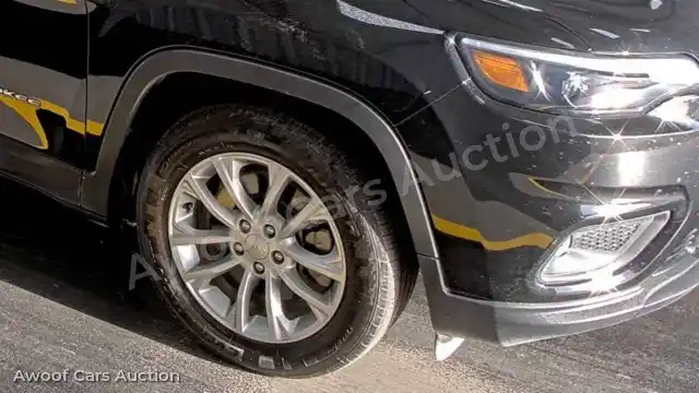 2019 Jeep Grand Cherokee 1C4PJLCB5KD203696 — Manheim auction photo 13