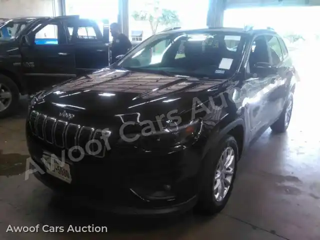 2019 Jeep Grand Cherokee 1C4PJLCB5KD203696 — Manheim auction photo 1