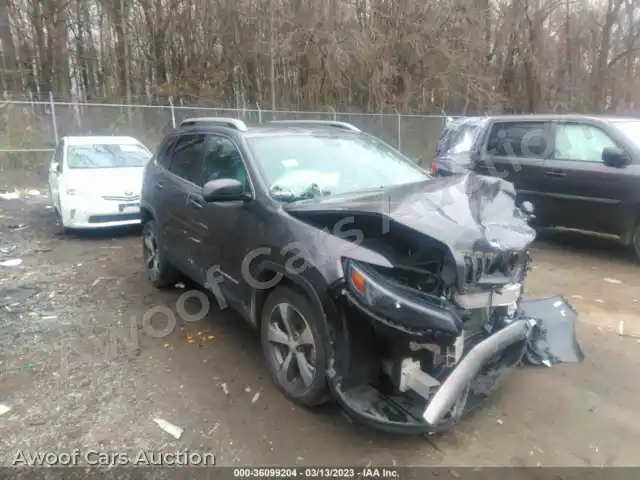 2019 Jeep Cherokee 1C4PJLDB4KD448178 — Iaai auction photo 1