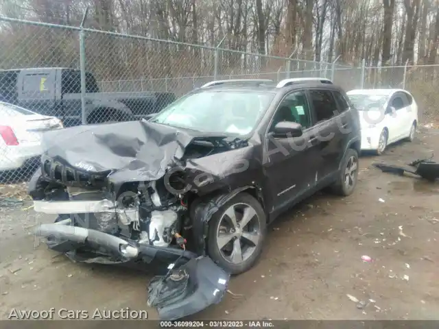 2019 Jeep Cherokee 1C4PJLDB4KD448178 — Iaai auction photo 2