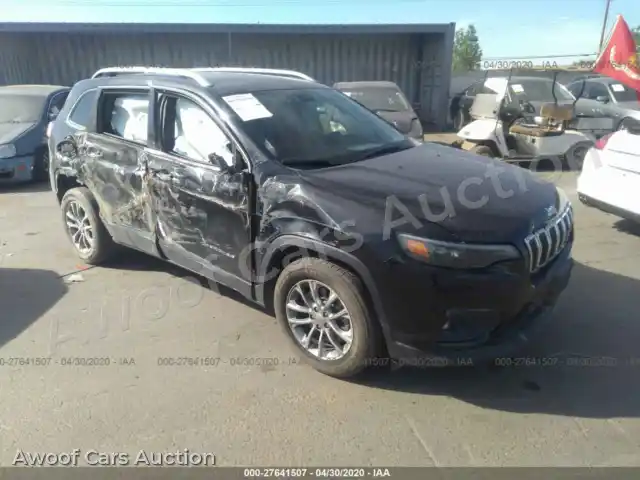 2019 Jeep Cherokee 1C4PJLLB1KD202237 — Iaai auction photo 1