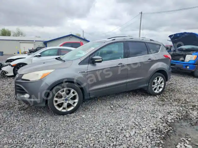 2014 Ford Escape 1FMCU9J99EUC18579 — Copart auction photo 1