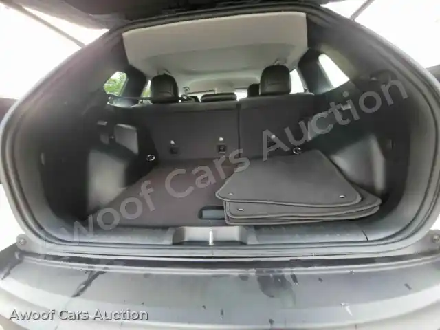 2021 Jeep Cherokee 1C4PJLLB0MD144138 — Manheim auction photo 30