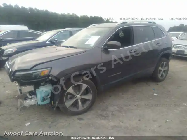 2019 Jeep Cherokee 1C4PJLDN5KD223441 — Iaai auction photo 2