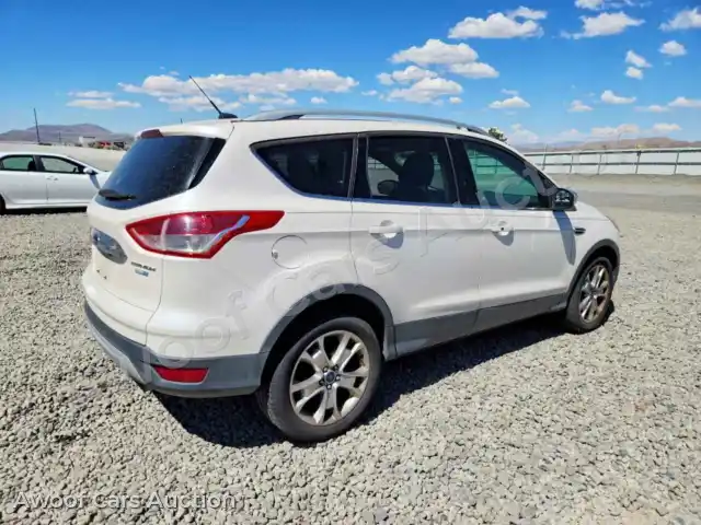 2014 Ford Escape 1FMCU9J91EUB34286 — Copart auction photo 3
