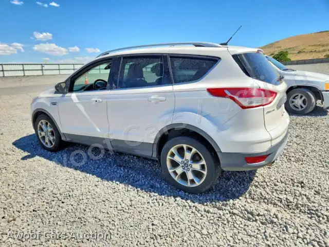 2014 Ford Escape 1FMCU9J91EUB34286 — Copart auction photo 2