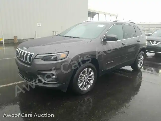 2019 Jeep Cherokee 1C4PJLLB2KD128455 — Manheim auction photo 1