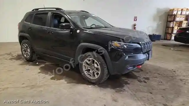 2022 Jeep Cherokee 1C4PJMBX7ND518023 — Copart auction photo 14