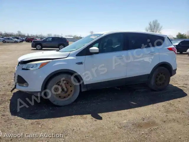 2013 Ford Escape 1FMCU9GX1DUA43880 — Copart auction photo 1