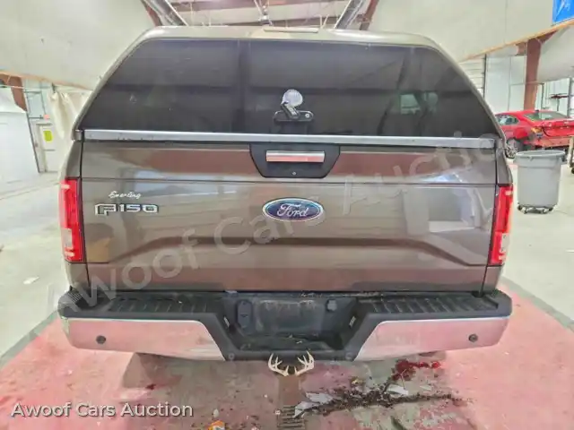 2015 Ford F150 1FTEW1EG2FFB39360 — Copart auction photo 6