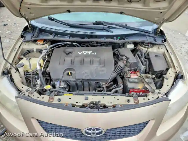 2010 Toyota Corolla 2T1BU4EE8AC320859 — Copart auction photo 11