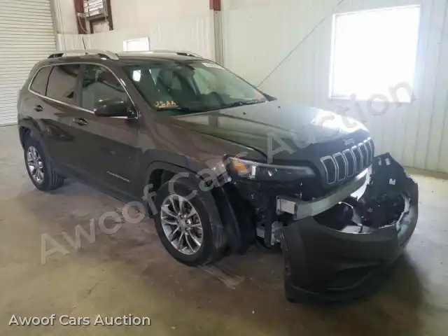 2019 Jeep Cherokee 1C4PJLLB2KD308308 — Copart auction photo 1