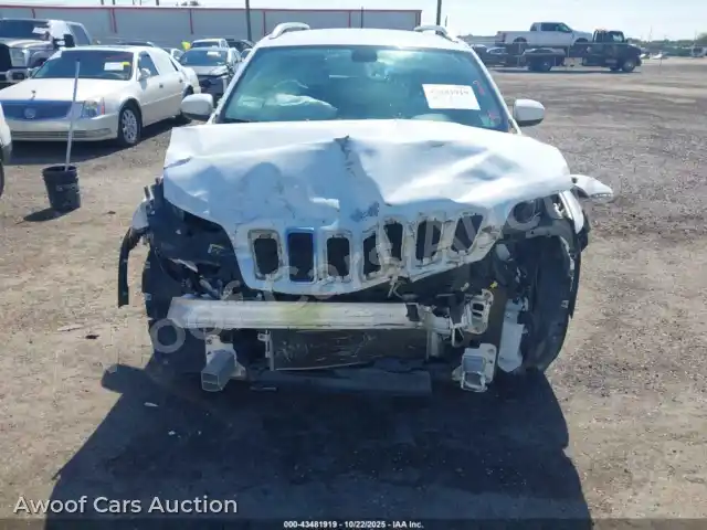 2019 Jeep Cherokee 1C4PJLLB7KD154193 — Iaai auction photo 13