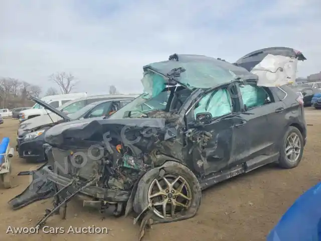 2021 Ford Edge 2FMPK4J96MBA54254 — Copart auction photo 1