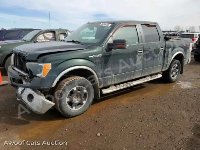 2012 Ford F150 1FTFW1EF9CFA50232 — Copart auction photo 1