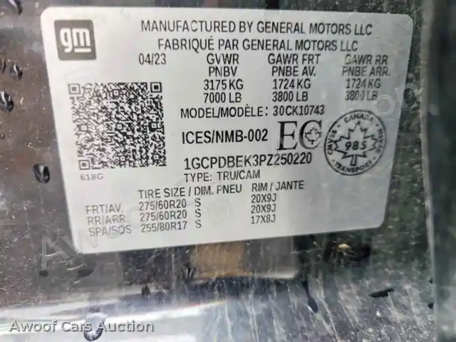 2023 Chevrolet Silverado 1GCPDBEK3PZ250220 — photo 12 de la vente Copart