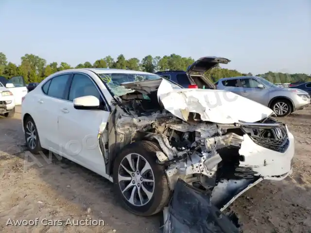 2015 Acura TLX 19UUB1F31FA027361 — Copart auction photo 1