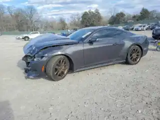 2024 Ford ALL Models