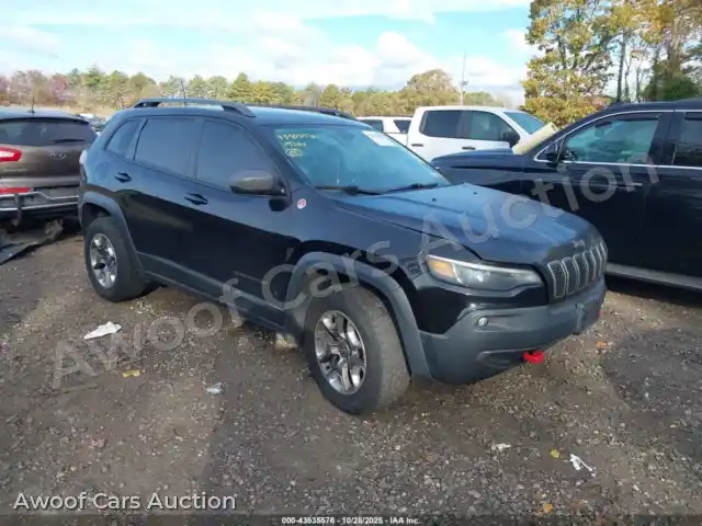2019 Jeep Cherokee 1C4PJMBN0KD365317 — Iaai auction photo 1