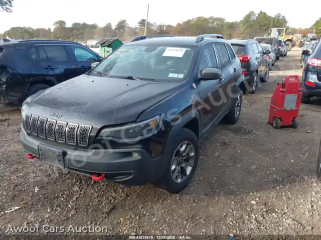 2019 Jeep Cherokee 1C4PJMBN0KD365317 — Iaai auction photo 2