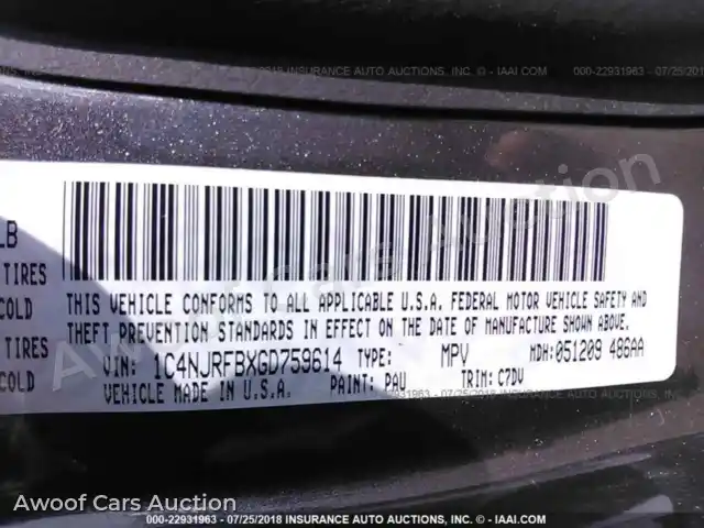 2016 Jeep Patriot 1C4NJRFBXGD759614 — Iaai auction photo 9