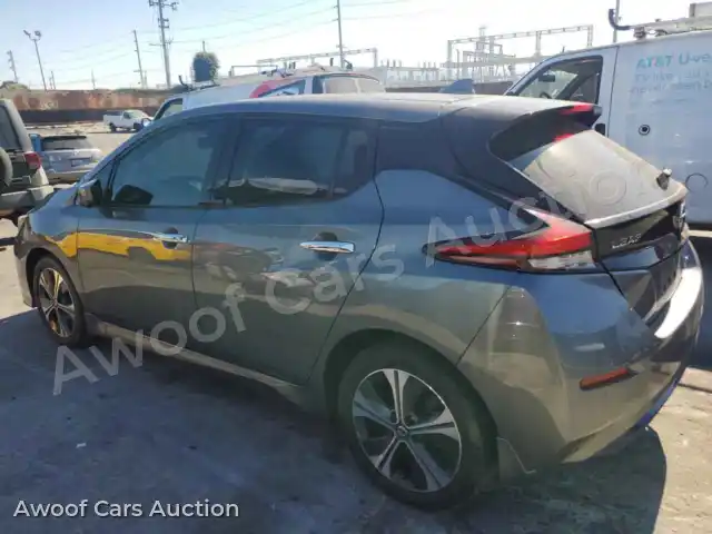 2020 Nissan Leaf 1N4BZ1DPXLC304876 — hoton gwanjo Copart na 2
