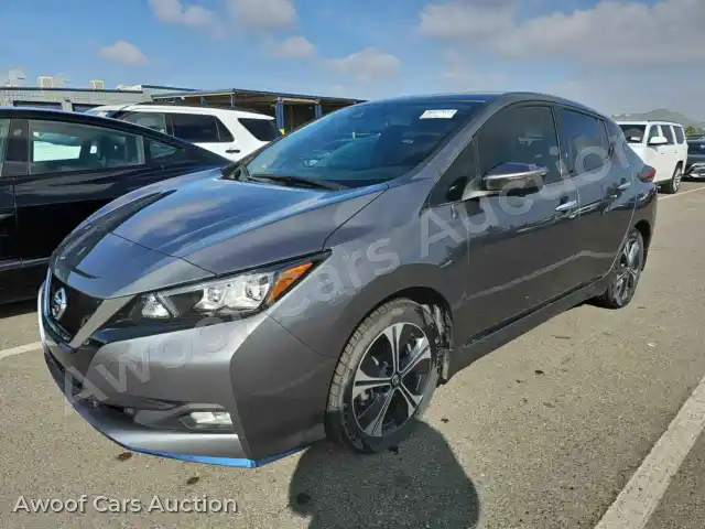 2020 Nissan Leaf 1N4BZ1DPXLC304876 — hoton gwanjo Manheim na 1