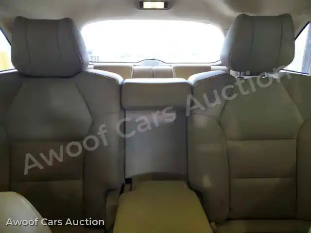 2010 Acura MDX 2HNYD2H61AH501983 — Copart auction photo 10
