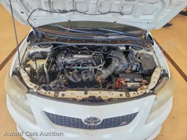 2010 Toyota Corolla 1NXBU4EE3AZ244448 — hoton gwanjo Copart na 11