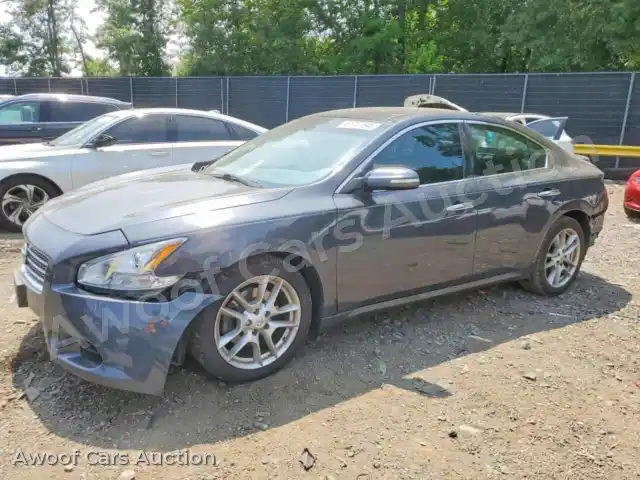2010 Nissan Maxima 1N4AA5AP7AC806403 — Copart auction photo 1
