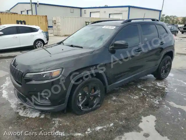 2020 Jeep Grand Cherokee 1C4PJLLB4LD592817 — Copart auction photo 1