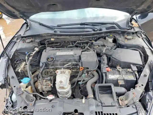 2014 Honda Accord 1HGCR2F37EA240648 — Copart auction photo 11