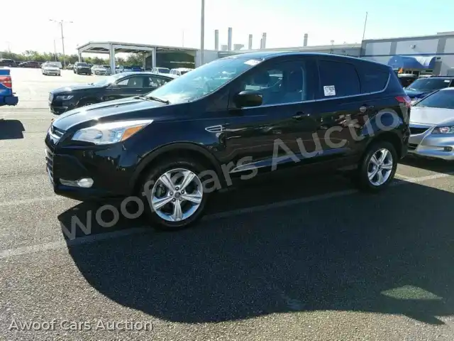 2014 Ford Escape 1FMCU0GX4EUC34819 — Manheim auction photo 1