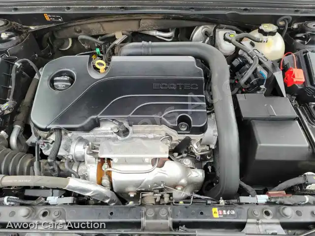2019 Chevrolet Malibu 1G1ZD5STXKF166728 — photo 15 de la vente Manheim