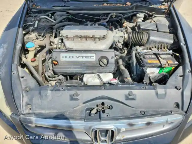 2007 Honda Accord 1HGCM66867A015772 — Copart auction photo 11
