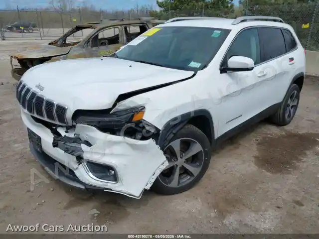 2019 Jeep Cherokee 1C4PJLDB1KD387310 — Iaai auction photo 2